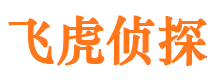 滑县侦探公司